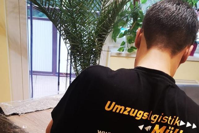 Preise für Ihren Studentenumzug in Haselbachtal